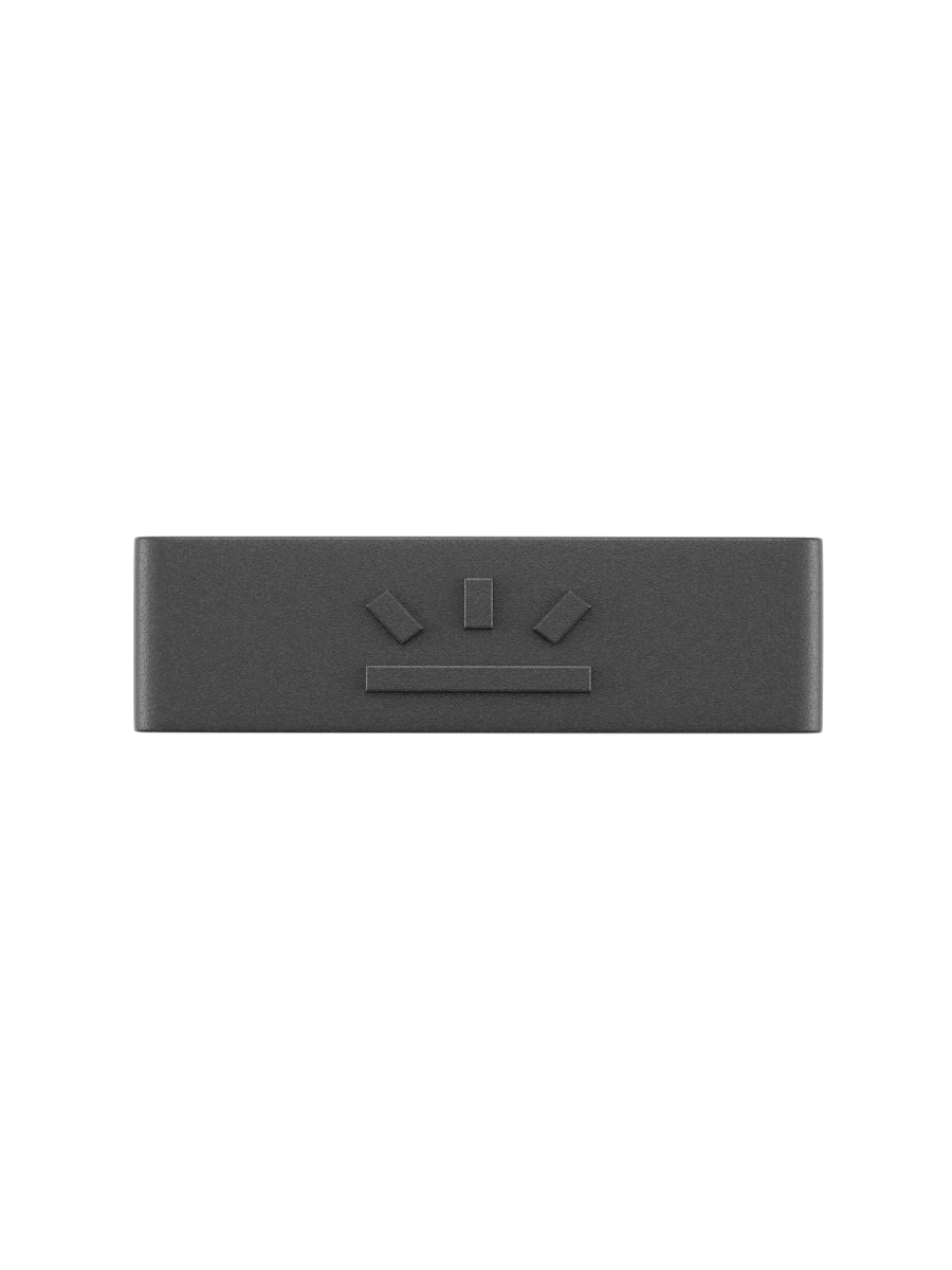 MX10 LOOPER